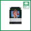 Hit Parade Basketball Giannis Antetokounmpo auto card